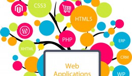 Application WEB et Mobile