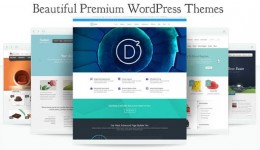 Installer & paramètrer votre thème WordPress